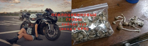 трава Каменногорск