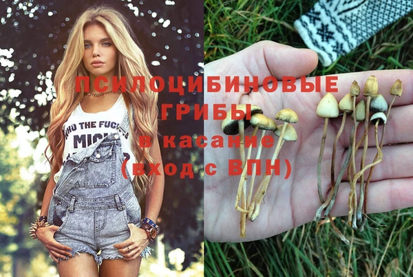 трава Каменногорск