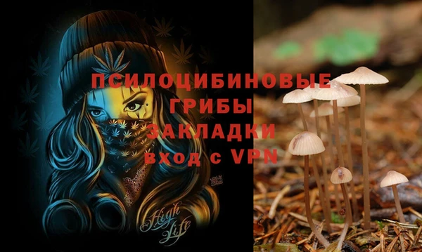 трава Каменногорск