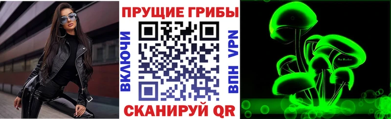 Галлюциногенные грибы MAGIC MUSHROOMS  Купить где  Барабинск 